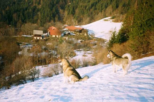 ASIA IN ALI  - foto povečava