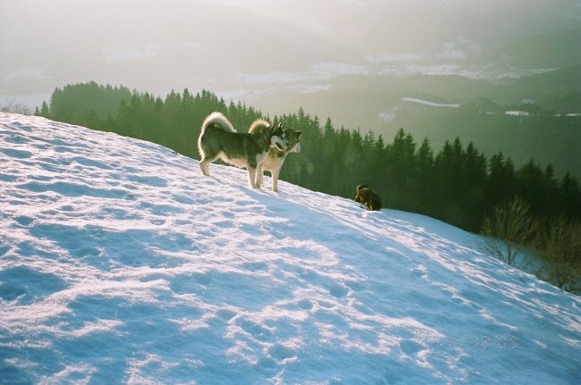 ASIA IN ALI  - foto povečava