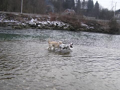 Srecanje-kranj,  23.1.2005 - foto povečava