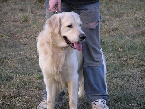 Srecanje-kranj,  23.1.2005 - foto