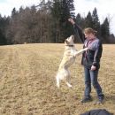 ...hop(gaja in teja)
