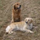 rondo & gaja