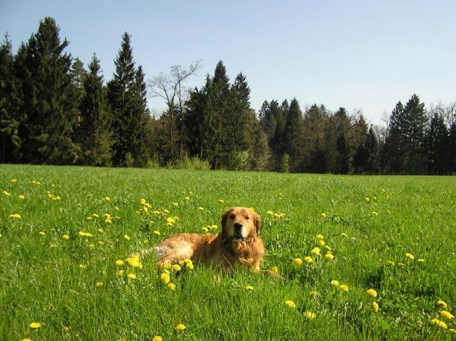 April 2005 - foto povečava