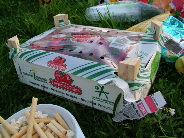 Piknik za Izin RD 2006 - foto