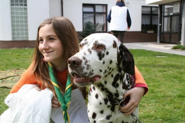 Sodniški seminar - foto