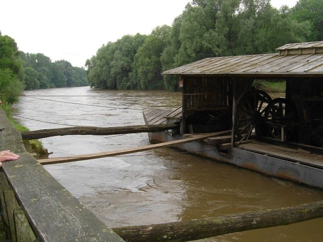 Prekmurje in na Goričko IZVIR 7.6.08 - foto povečava