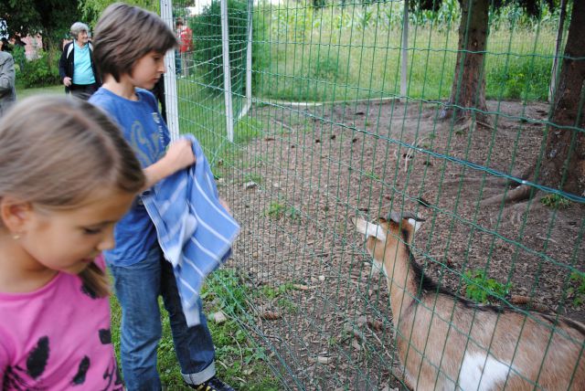 Župnijsko romanje dolenjska 4.9.10 - foto