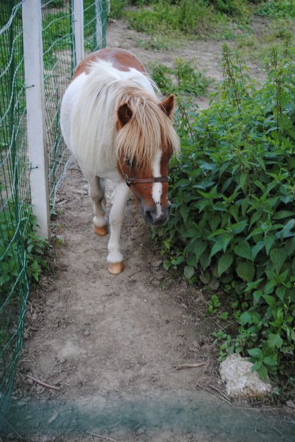 Župnijsko romanje dolenjska 4.9.10 - foto