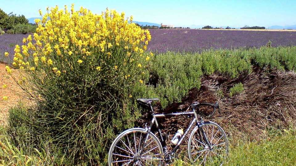 FRANCIJA-PROVANSA 2008 - foto povečava