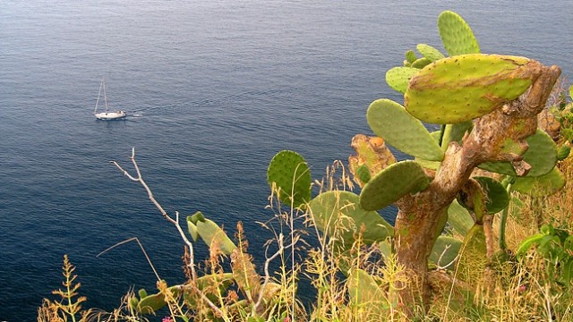 LIGURIJA - 5TERRE 2009 - foto