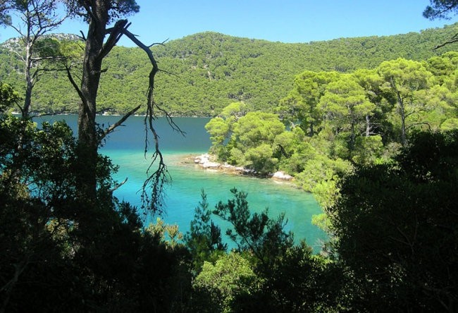 MLJET 2007 - foto povečava