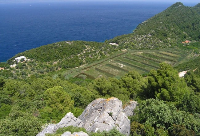 MLJET 2007 - foto povečava