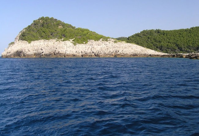 MLJET 2007 - foto povečava