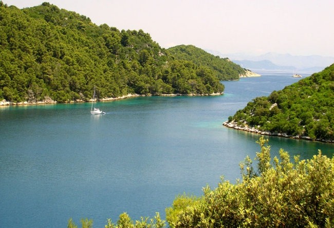 MLJET 2007 - foto povečava