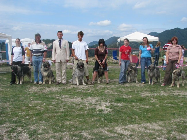 GROM SREDNJEDRAVSKI - foto povečava