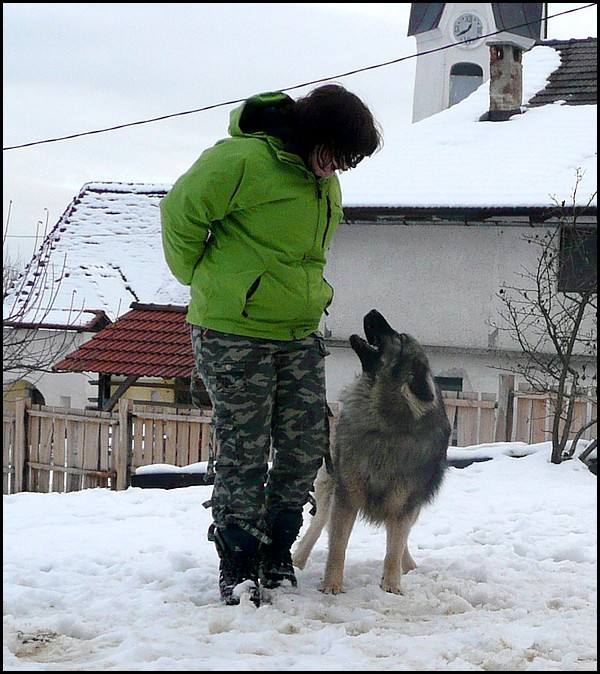 GROM SREDNJEDRAVSKI - foto povečava