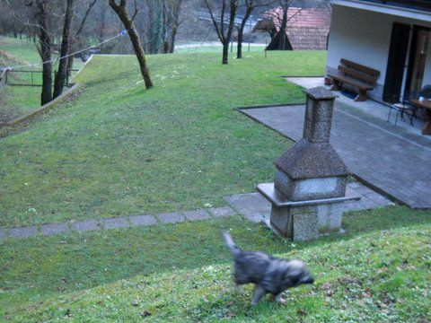 IRON SREDNJEDRAVSKI - foto povečava
