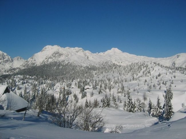 Velika planina - foto povečava