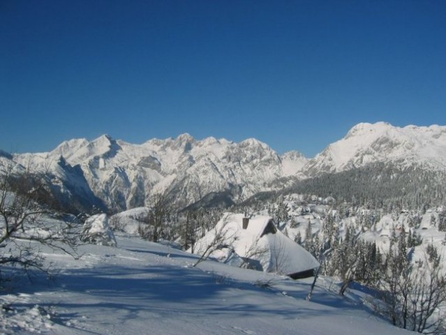 Velika planina - foto