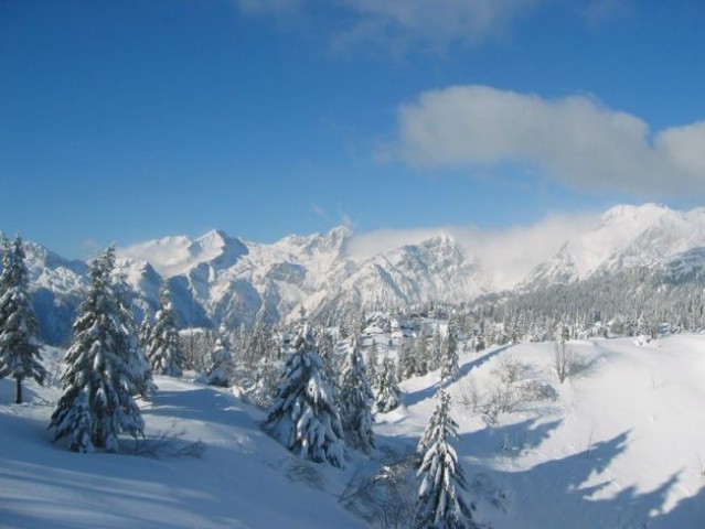 Velika planina - foto