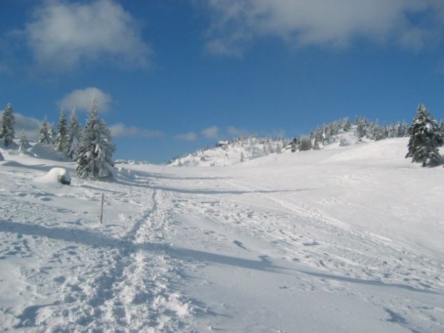 Velika planina - foto