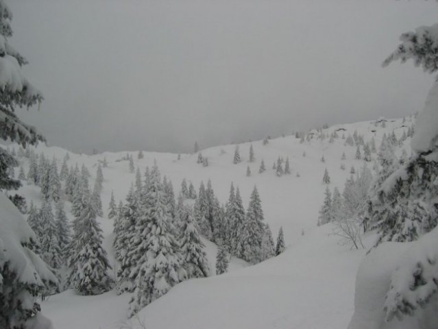 Velika planina 2 - foto