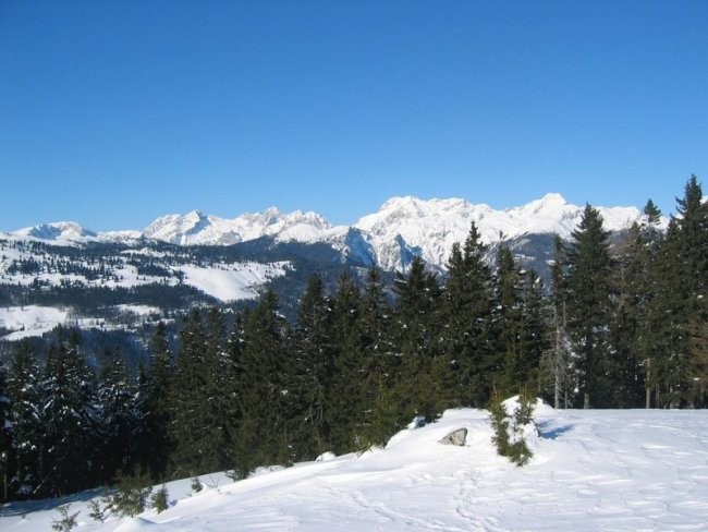 Kranjska reber - foto povečava