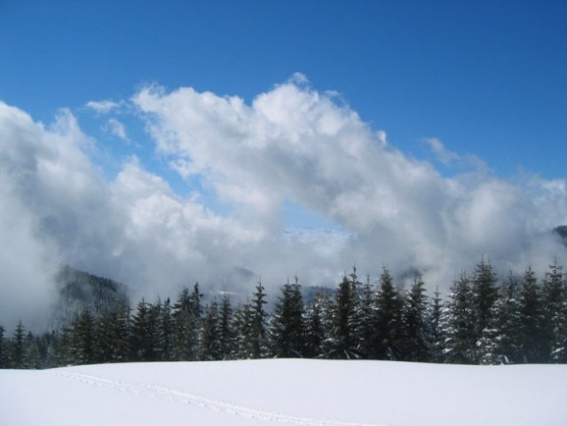 Kranjska reber 2 - foto