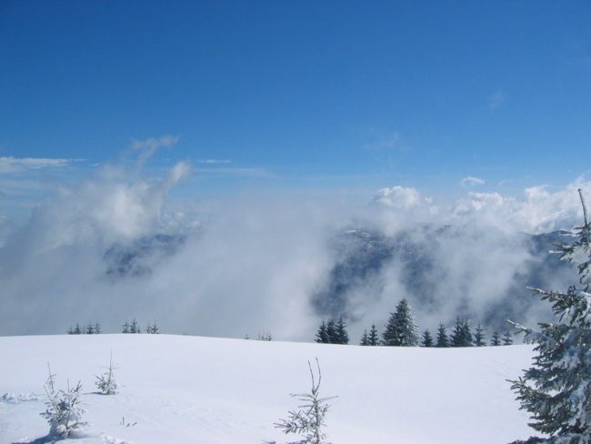 Kranjska reber 2 - foto povečava