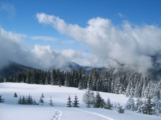 Kranjska reber 2 - foto