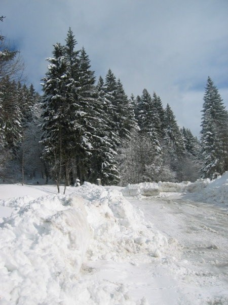 Kranjska reber 2 - foto povečava