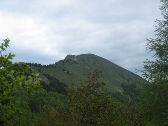 Golica - foto
