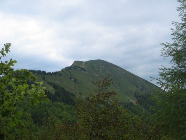 Golica - foto povečava