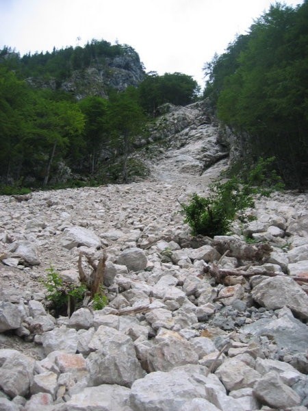 Plaz izpod Žmavčarjev je uničil spodnji del poti...