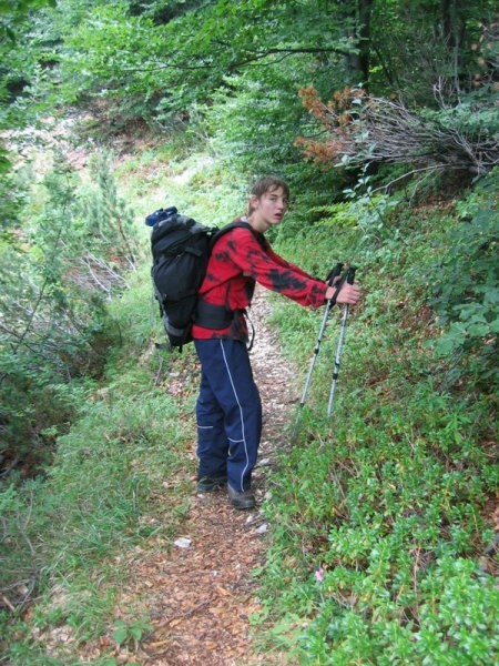 Prečenje - Bohinj - foto