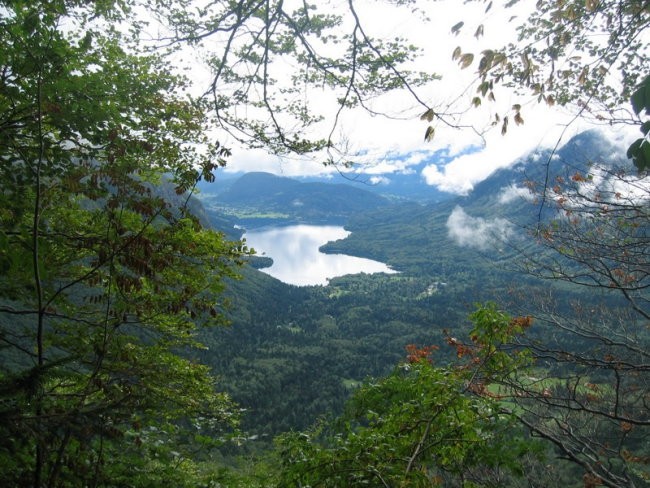 Prečenje - Bohinj - foto povečava