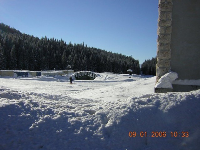 Patruljni tek - pokljuka 2005 - foto