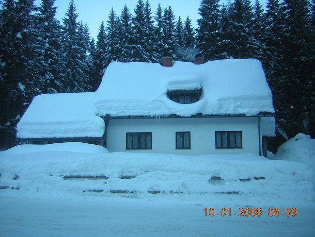 Patruljni tek - pokljuka 2005 - foto povečava