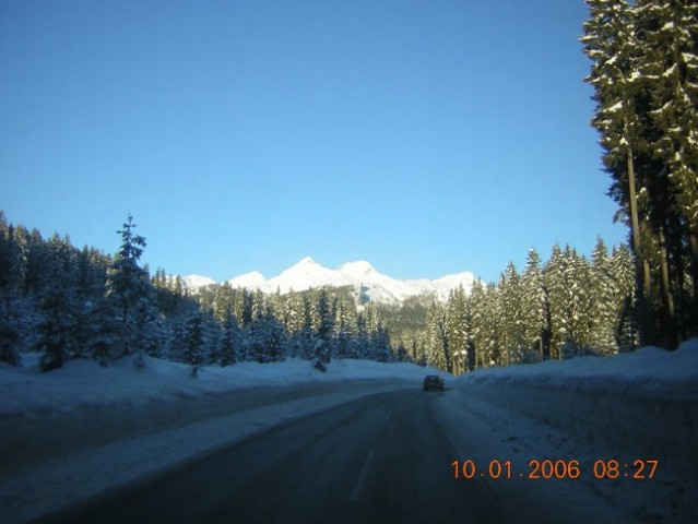 Patruljni tek - pokljuka 2005 - foto