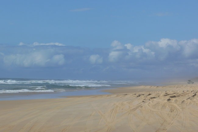 Fraiser island