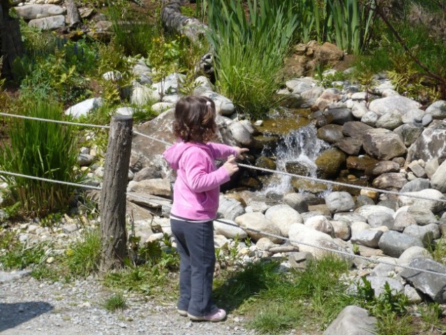 ZOO Hreberstein - foto