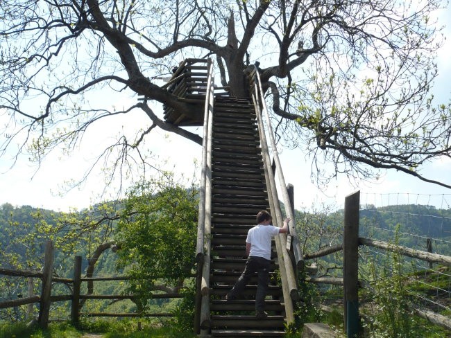 ZOO Hreberstein - foto povečava