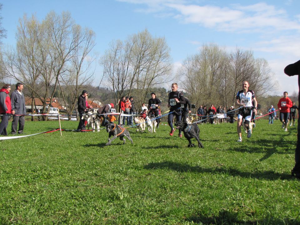 1. dryland sleedog, Logatec 2010 - foto povečava