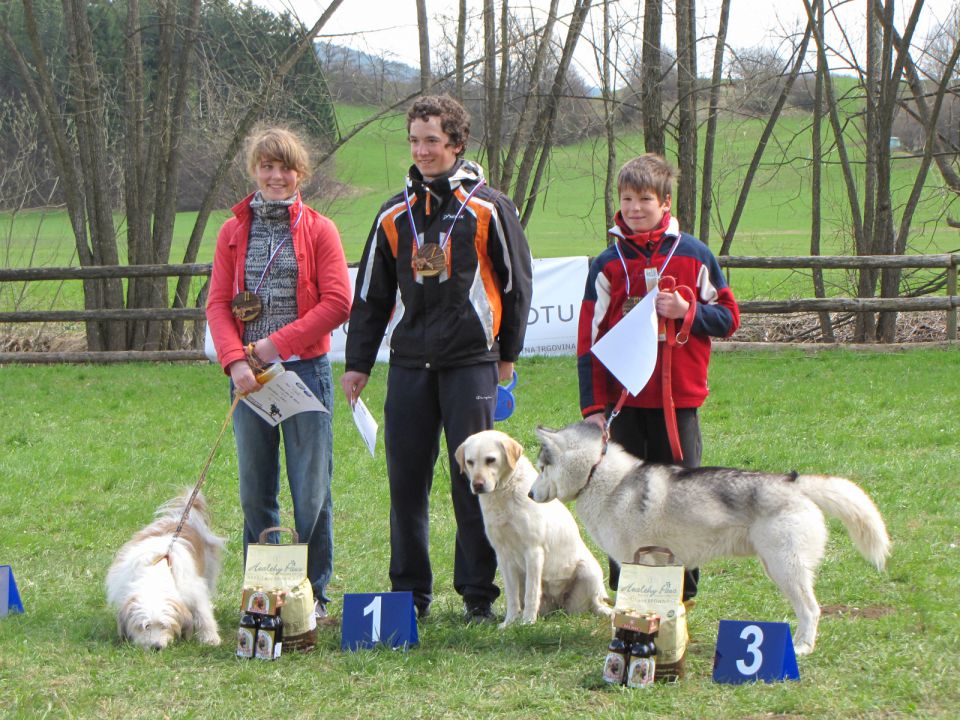 1. dryland sleedog, Logatec 2010 - foto povečava