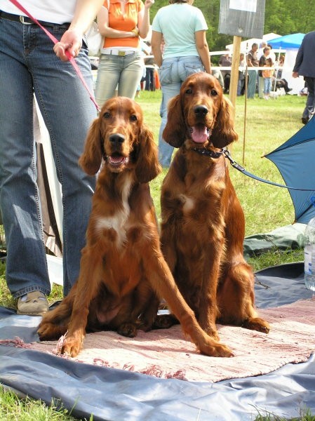 Flora & Fik na CAC Trbovlje avgust 2006