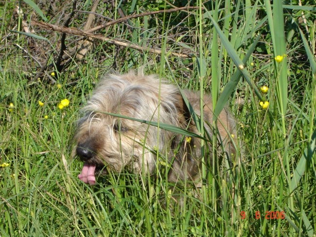 9.6.06 - foto povečava