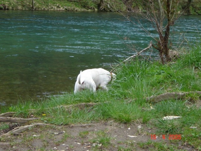 Kolpa - foto