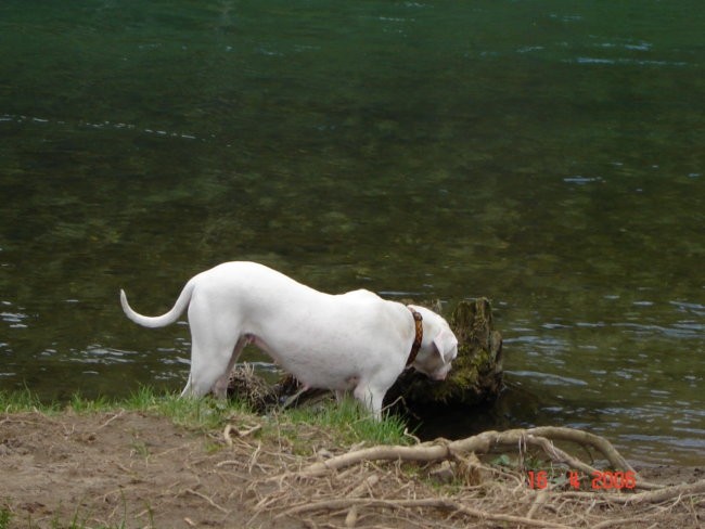 Kolpa - foto povečava