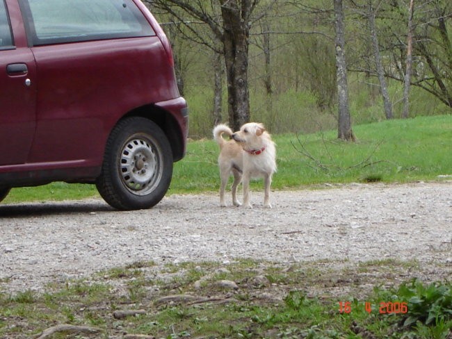 Kolpa - foto povečava