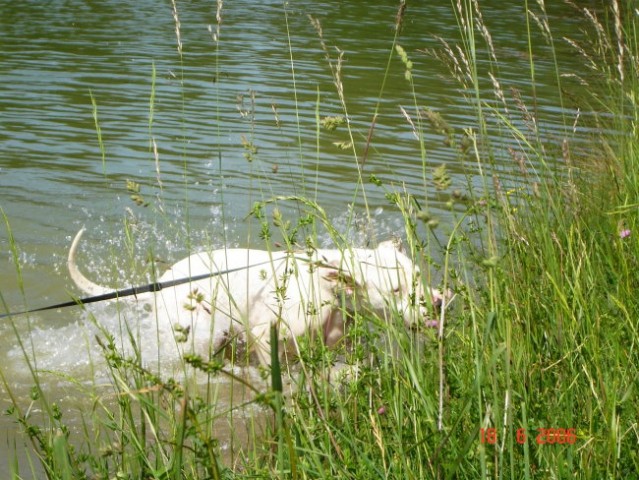 Bloško jezero - foto